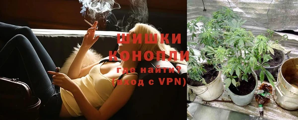 spice Вязьма